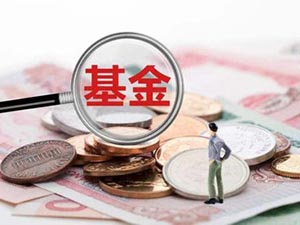 納閩島公司旗下的納閩基金管理持照可執(zhí)行的活動