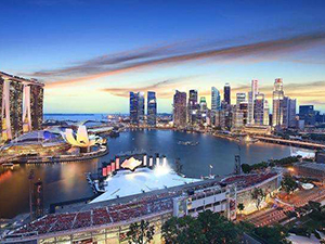 新加坡公司財務(wù)報告的類型