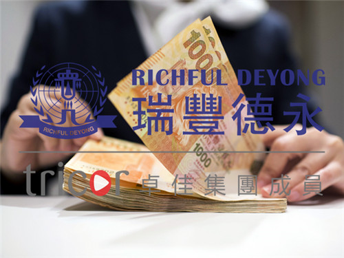 德國VAT稅務(wù)抽查