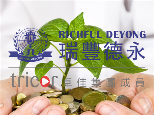 菲律賓公司找代理做賬報(bào)稅的好處